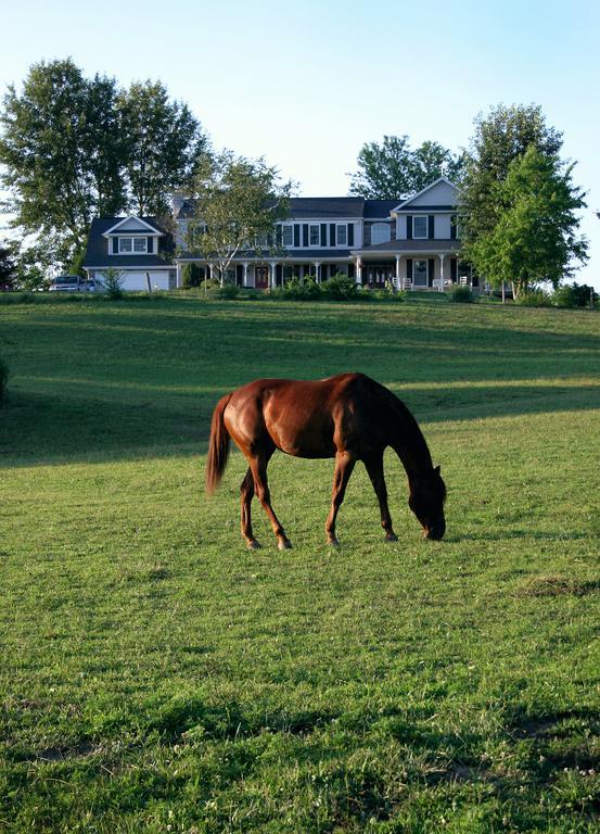 The Inn At Westwynd Farm Hershey Servis gambar
