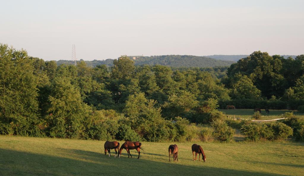 The Inn At Westwynd Farm Hershey Luaran gambar
